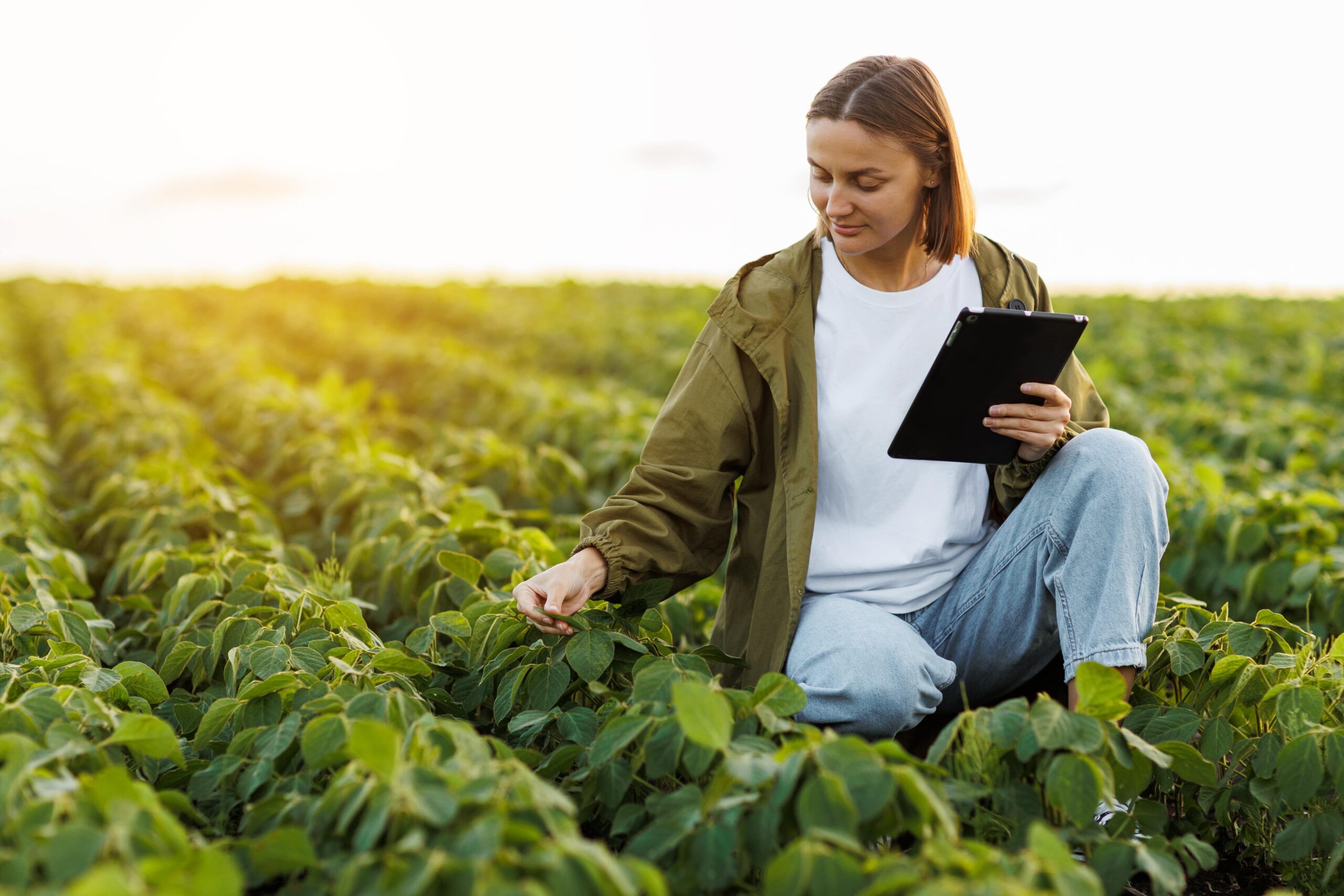 Unternehmensberatung Lebensmittel- & Ernährungsbranche